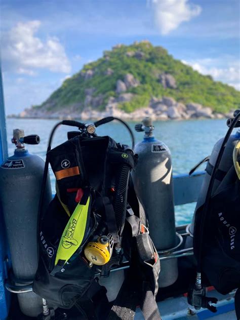 Das musst du sehen auf Koh Tao! Ich zeige dir das wirkliche